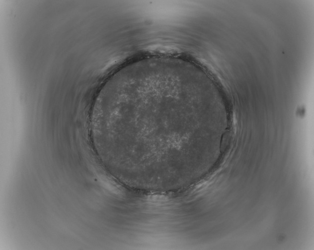X0000089951297200707201916
