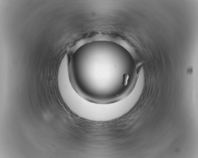 X0000089951298200707201916