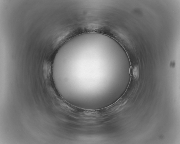X0000089951299200707201916