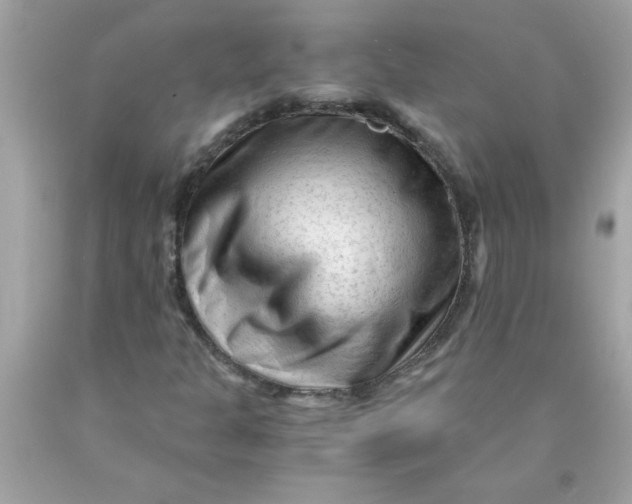 X0000089951301200707201916