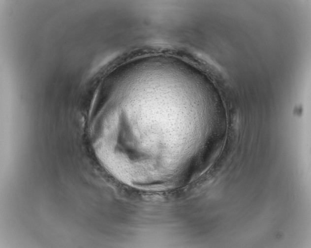X0000089951302200707201916