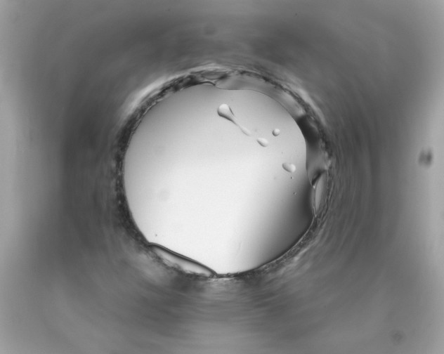 X0000089951304200707201916