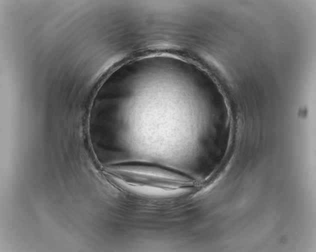 X0000089951305200707201916