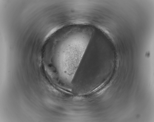 X0000089951306200707201916