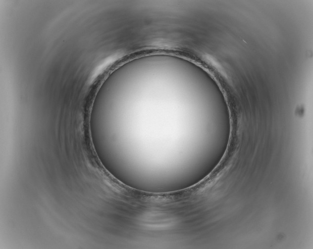 X0000089951307200707201916