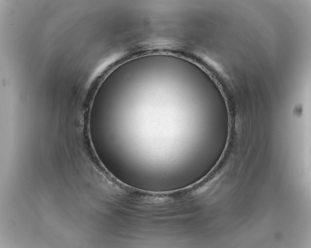 X0000089951309200707201916
