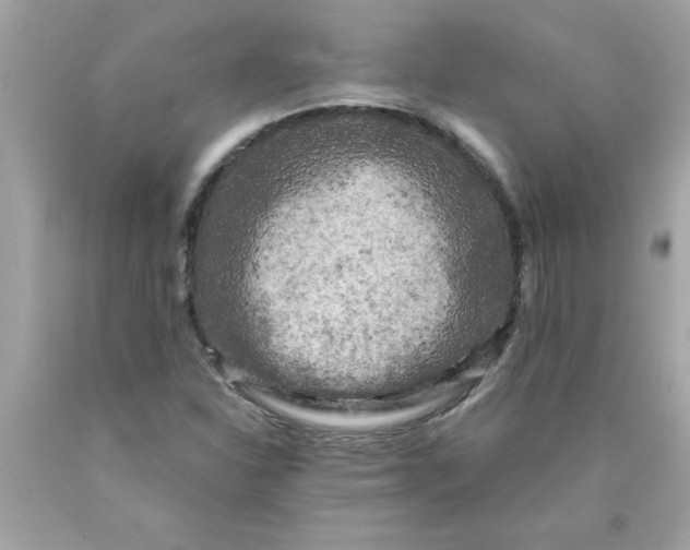 X0000089951310200707201916