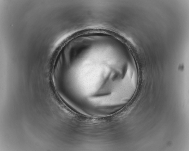 X0000089951311200707201916