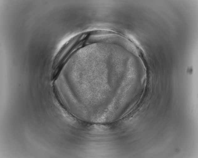 X0000089951312200707201916