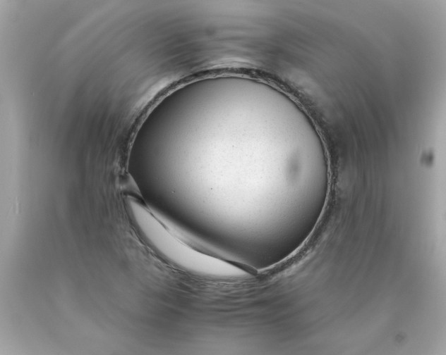 X0000089951313200707201916
