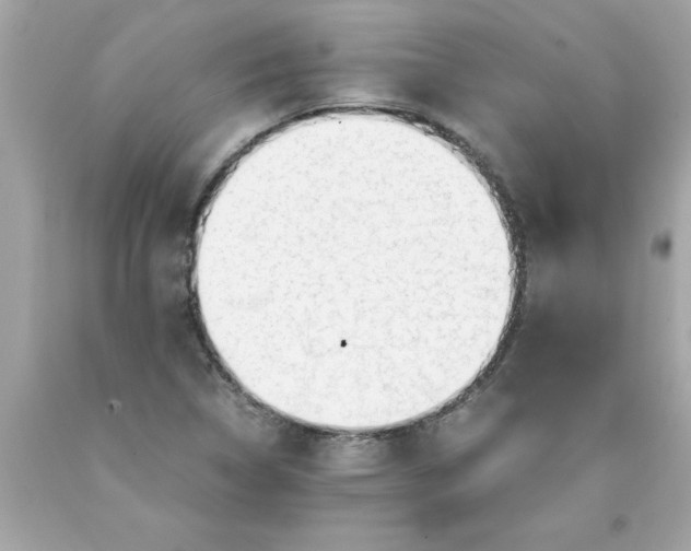X0000089951314200707201916