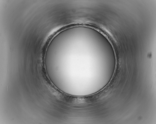 X0000089951315200707201916