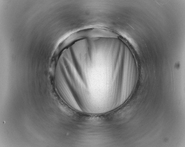 X0000089951316200707201916