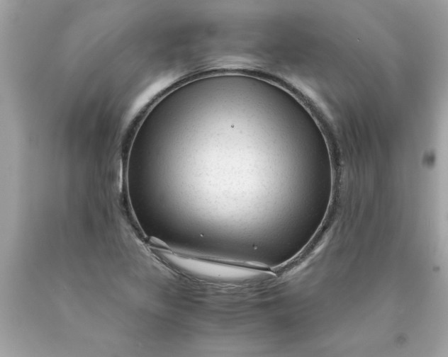 X0000089951317200707201916