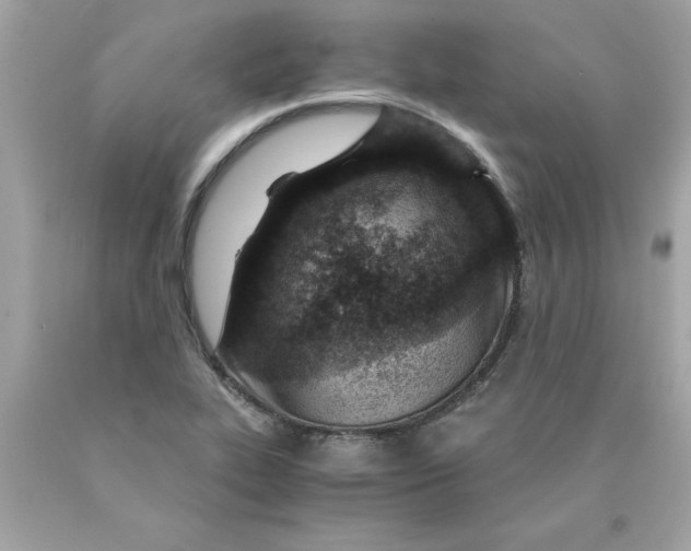 X0000089951319200707201917