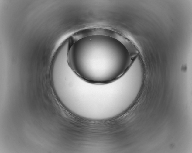 X0000089951320200707201917