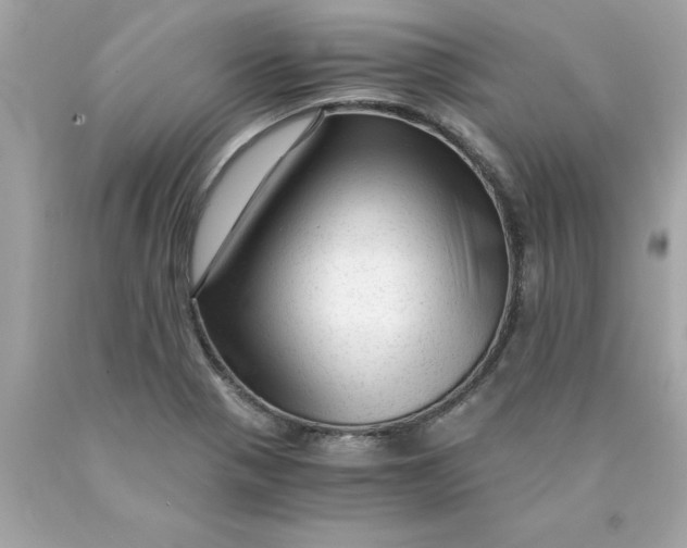X0000089951321200707201917