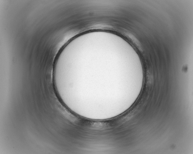 X0000089951322200707201917