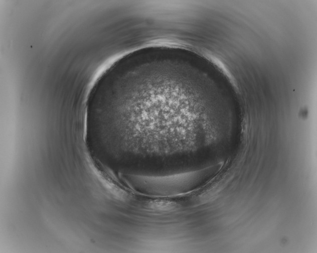 X0000089951323200707201917