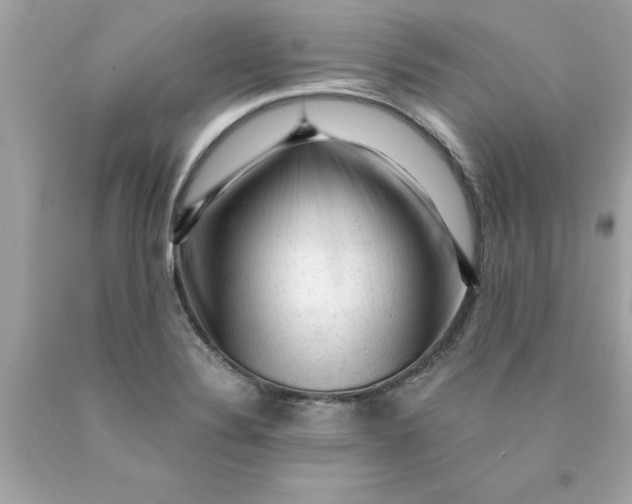 X0000089951324200707201917