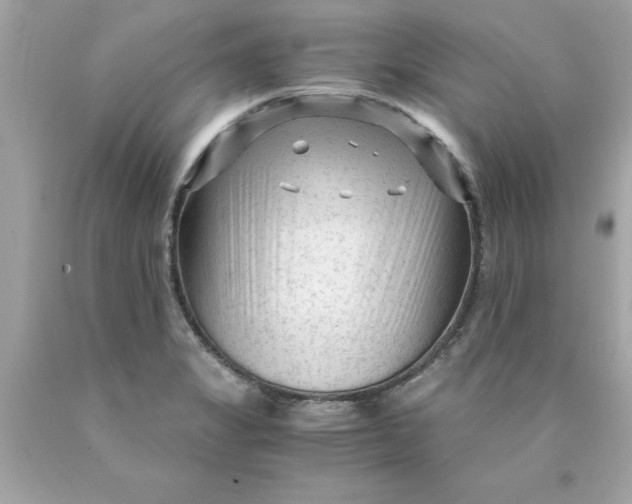 X0000089951325200707201917