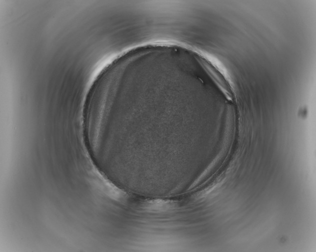 X0000089951327200707201917