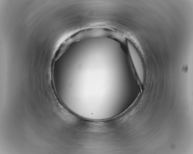 X0000089951328200707201917