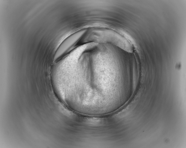 X0000089951329200707201917