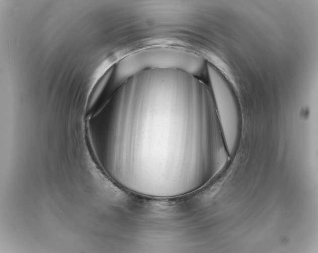 X0000089951330200707201917