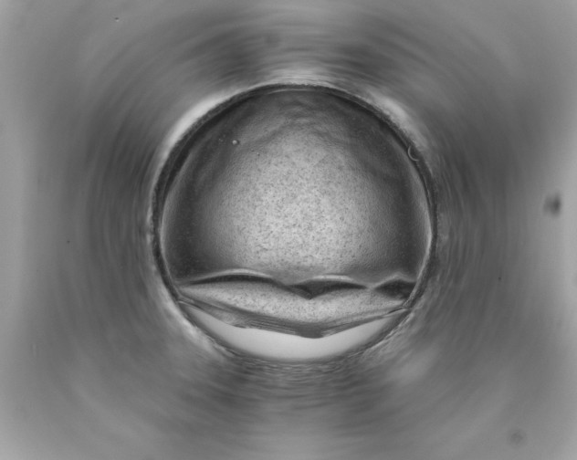 X0000089951331200707201917