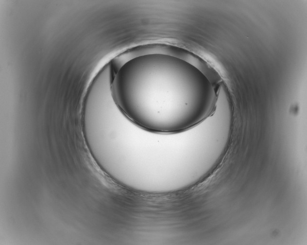 X0000089951332200707201917