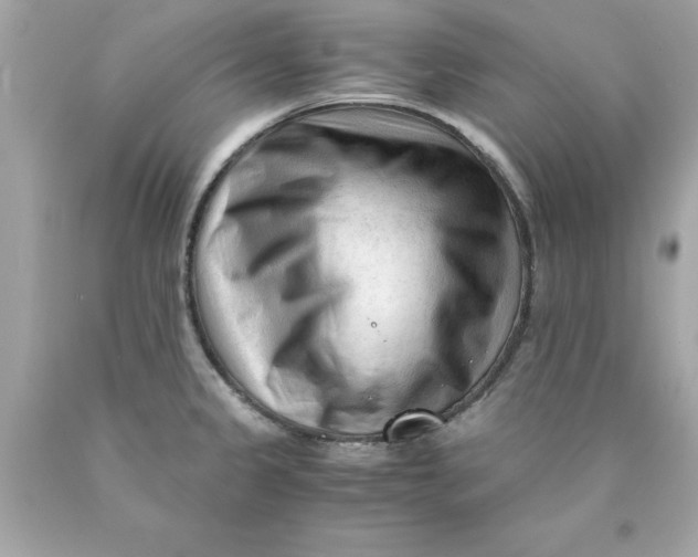 X0000089951333200707201917