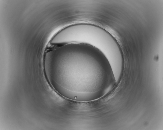 X0000089951334200707201917
