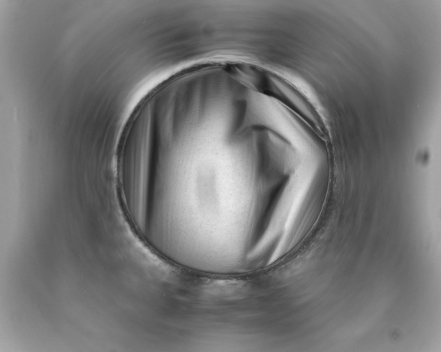 X0000089951335200707201917