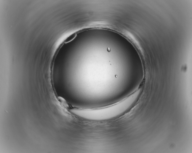X0000089951336200707201917