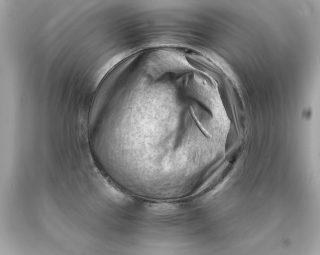 X0000089951337200707201917