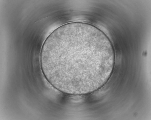 X0000089951338200707201917