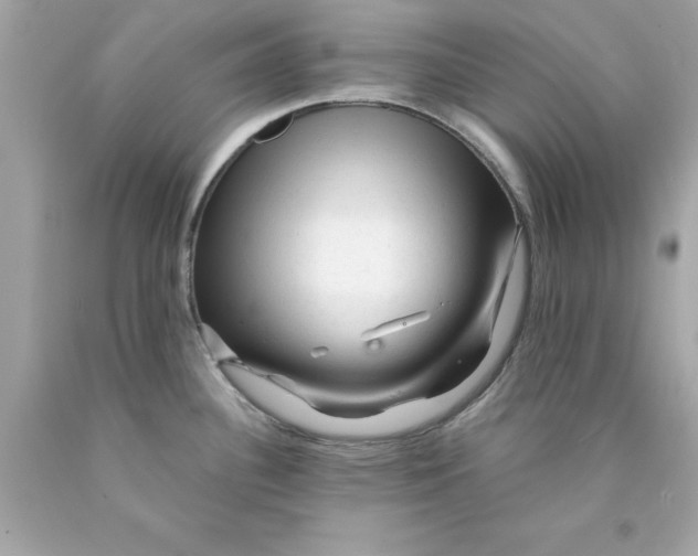 X0000089951340200707201917