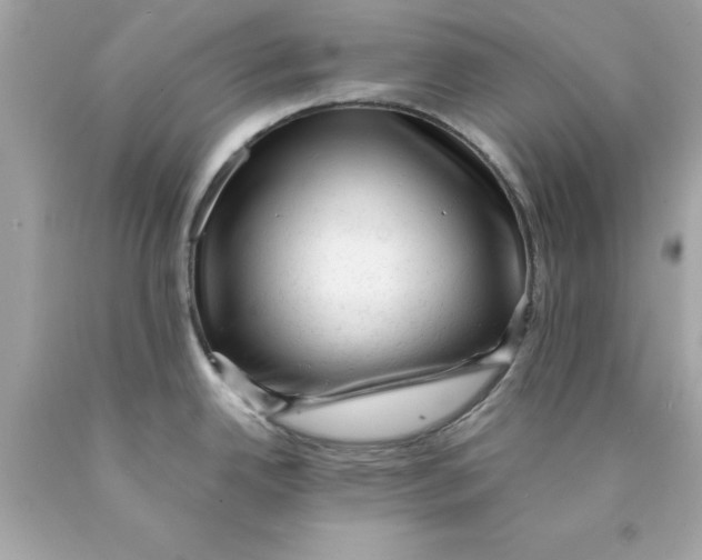 X0000089951342200707201917
