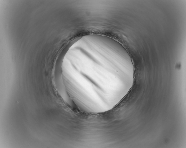 X0000089951345200707201916