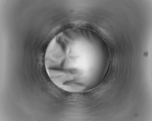 X0000089951346200707201916