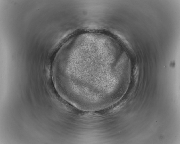 X0000089951348200707201916