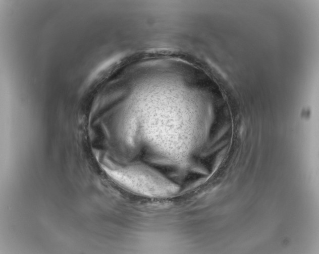 X0000089951351200707201916