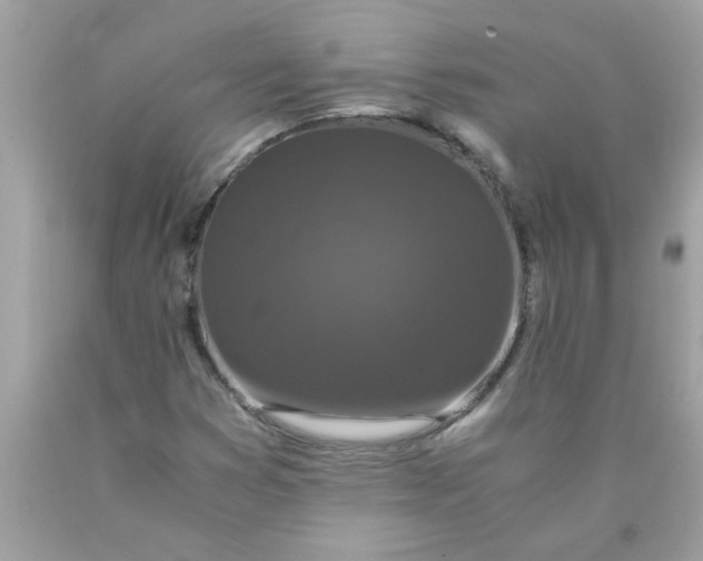 X0000089951353200707201916