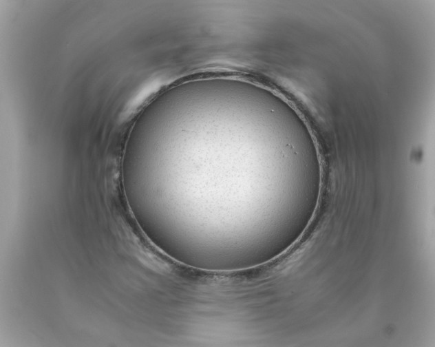 X0000089951355200707201916