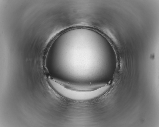 X0000089951356200707201916