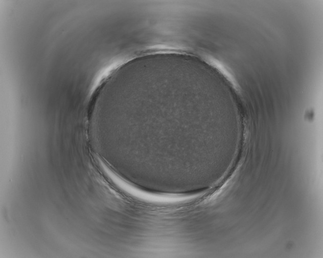 X0000089951357200707201916