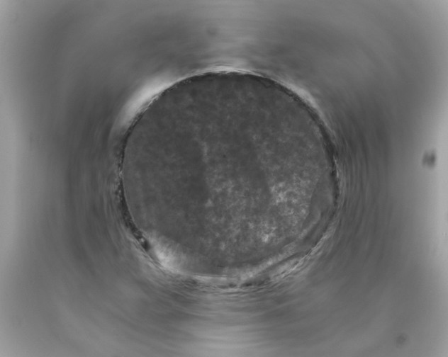X0000089951359200707201916