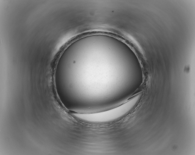 X0000089951360200707201916