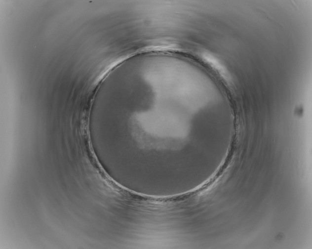 X0000089951361200707201916